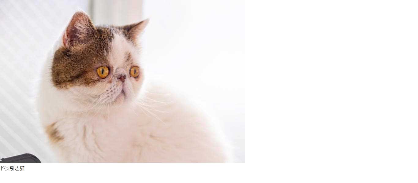 完成図のスクリーンショット